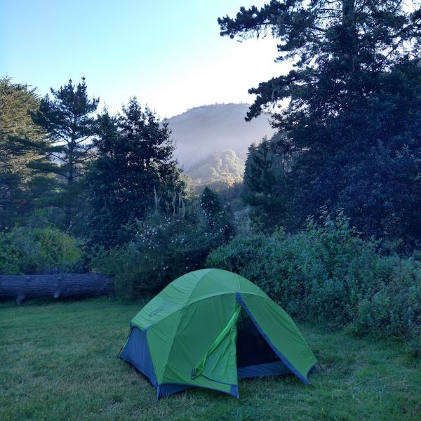 green tent in field with trees at morning