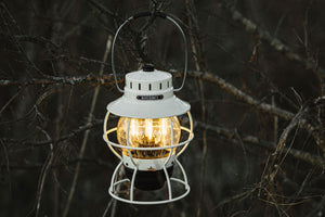 railroad lamp hanging in tree