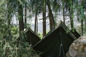 3 green tents in forest