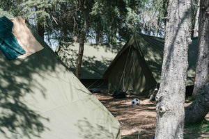 tents at boy scout camp
